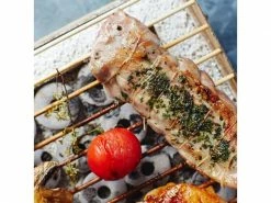 CasusGrill Einweggrill High Stand Paper -Grill Verkaufsgeschäft 194392076 xxl