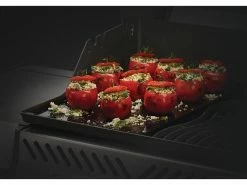 Napoleon Gussplatte für Rogue 425(-1), 525-1 & 625-1 6 Napoleon Gussplatte für Rogue 425(-1), 525-1 & 625-1 -Grill Verkaufsgeschäft 196146224 xxl