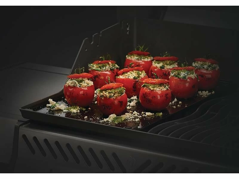 Napoleon Gussplatte für Rogue 425(-1), 525-1 & 625-1 3 Napoleon Gussplatte für Rogue 425(-1), 525-1 & 625-1 – Bild 3