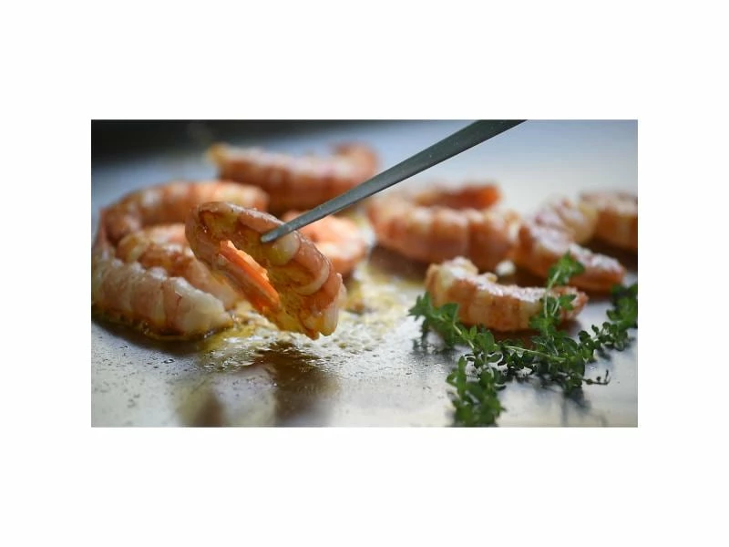 Campingaz Grillzange Premium Plancha Silber 6 Campingaz Grillzange Premium Plancha Silber – Bild 6